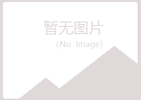 兴山区从安制造有限公司